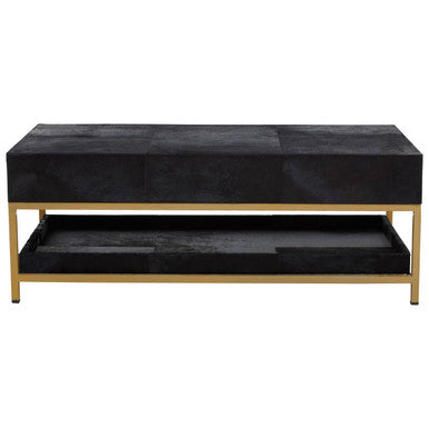 Side profile of the gold-finish metal frame and open base of the coffee table