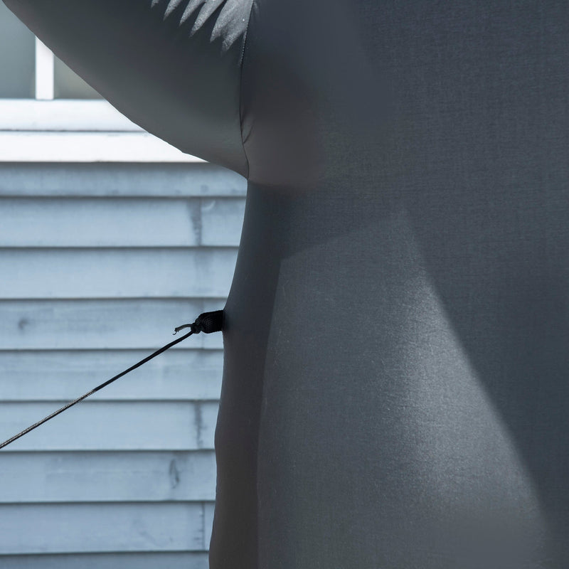 Close-up of the penguin's body with a tether rope attached