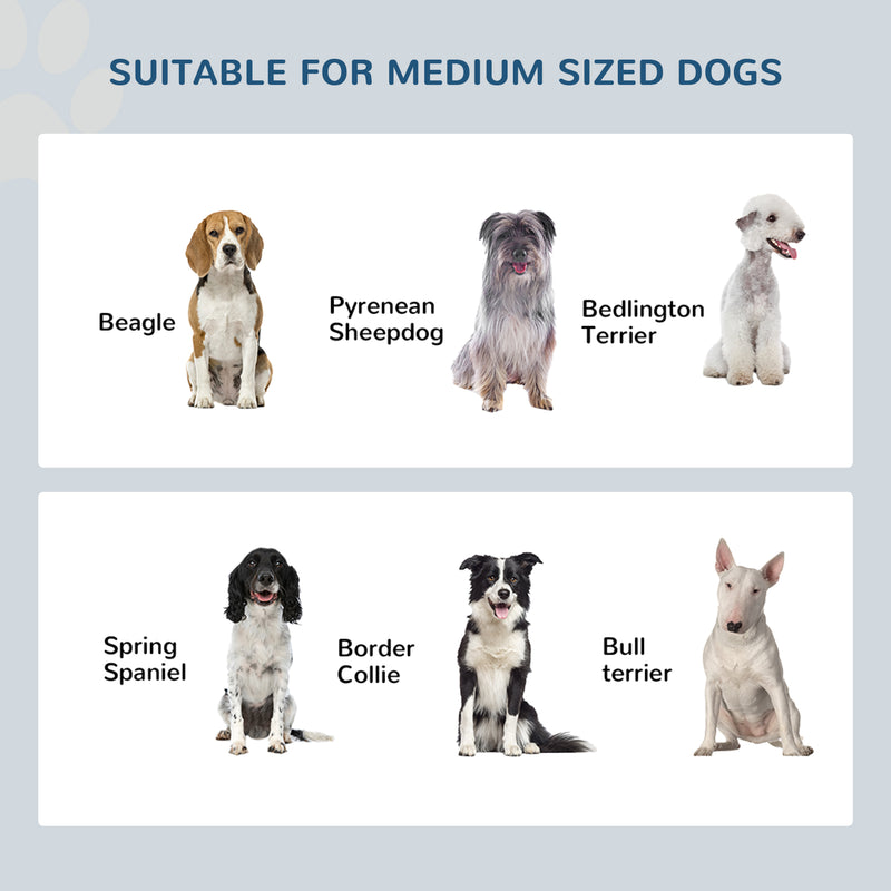 Raised Dog Feeding Station with Adjustable Stand and Steel Bowls for Medium Dogs, Grey