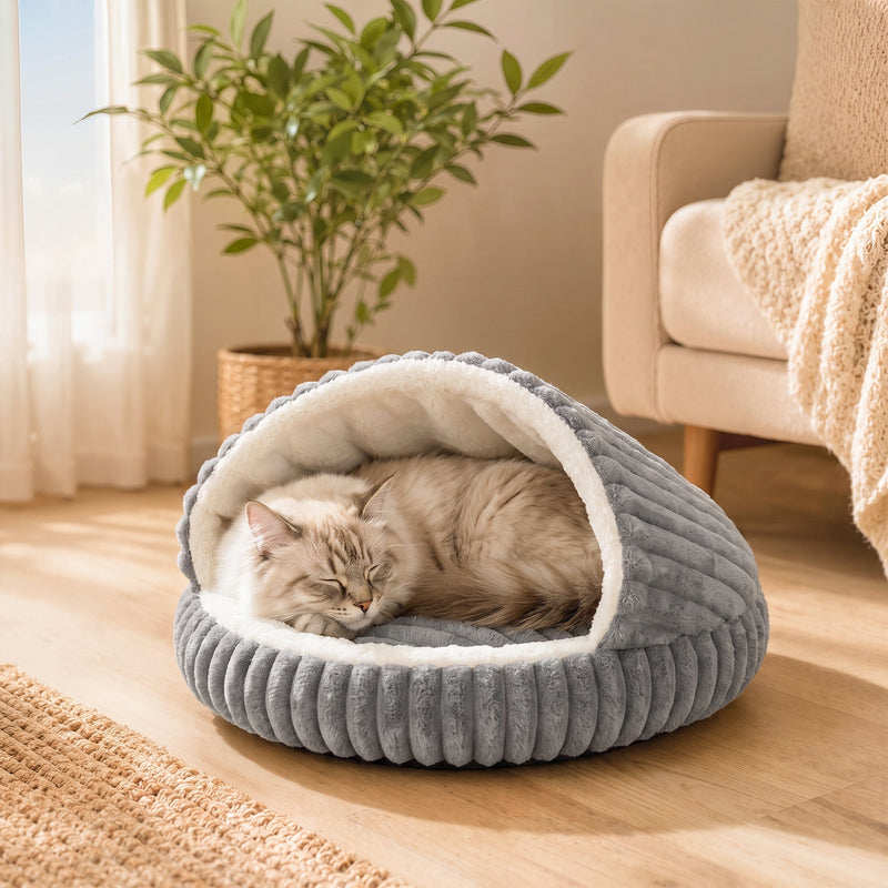 Cream cat sleeping in the grey cat cave bed near a houseplant