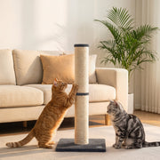 Two cats investigating the Pawhut sisal scratching post beside a sofa