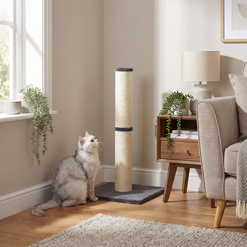 Pawhut scratching post positioned in a living room corner beside a window and armchair