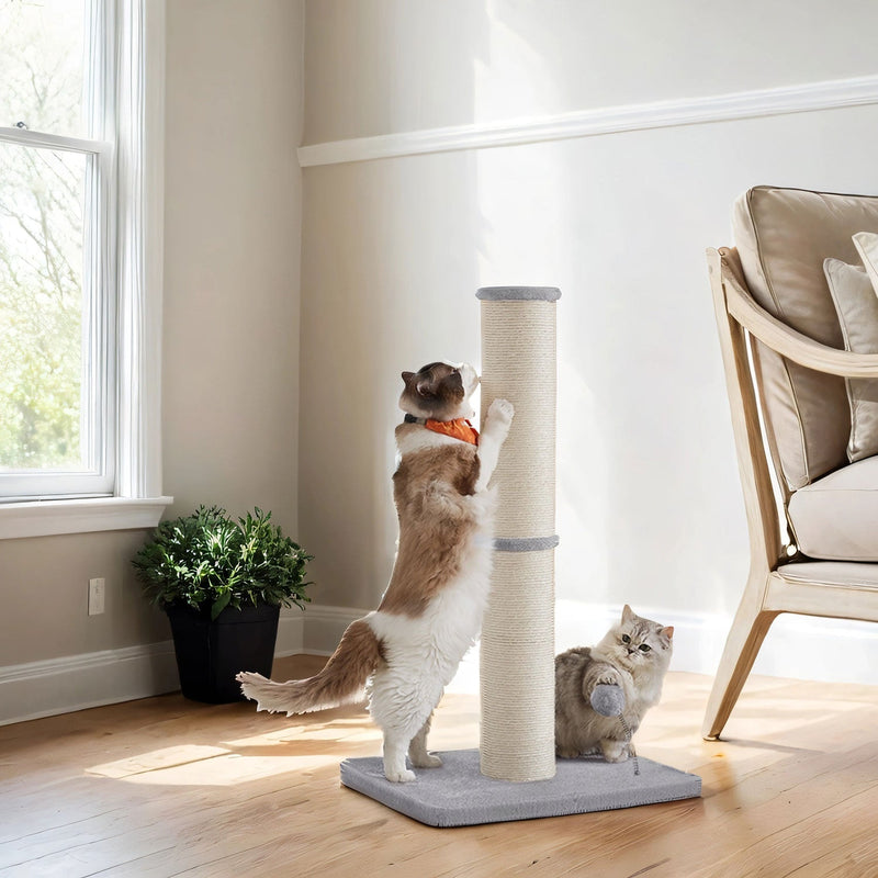 Two cats playing with the dove grey Feandrea cat scratching post in a living room