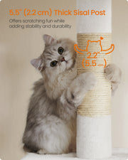 Feandrea cream white cat tree, dimensions 60 x 40 x 84 cm