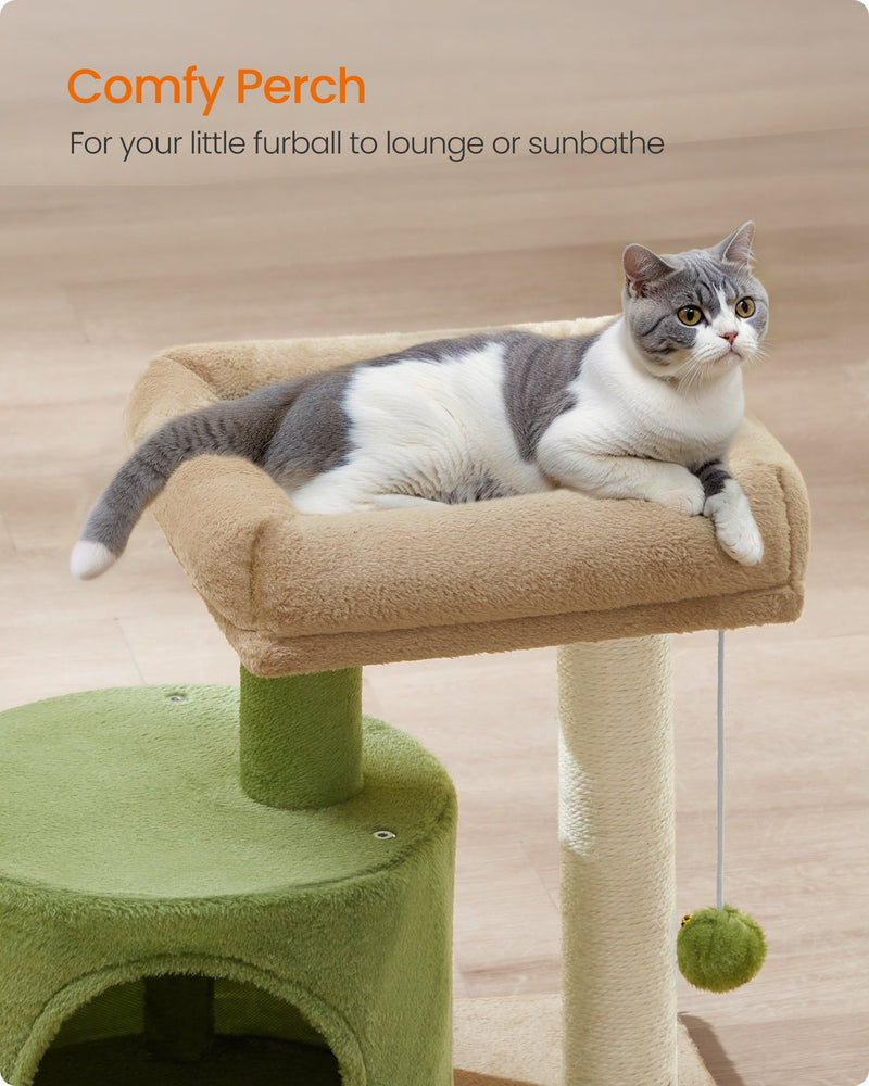 Cat resting on the plush top perch of the Feandrea cat tree