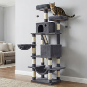 Tabby cat on the top perch of the smoky grey cat tree in a living room
