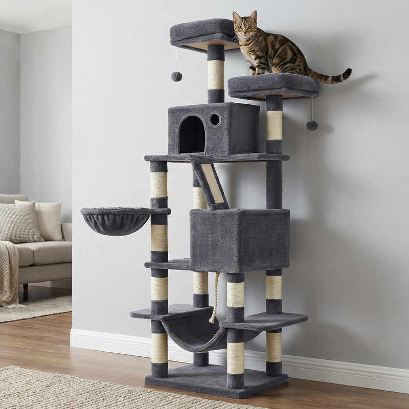 Tabby cat on the top perch of the smoky grey cat tree in a living room