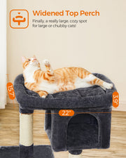 Close-up of a cat lying on the padded 56 x 40cm top perch of the cat tree