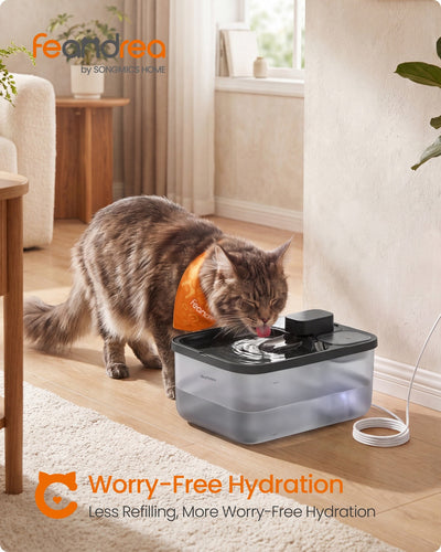 Tabby cat drinking from the black cat water fountain on a living room floor