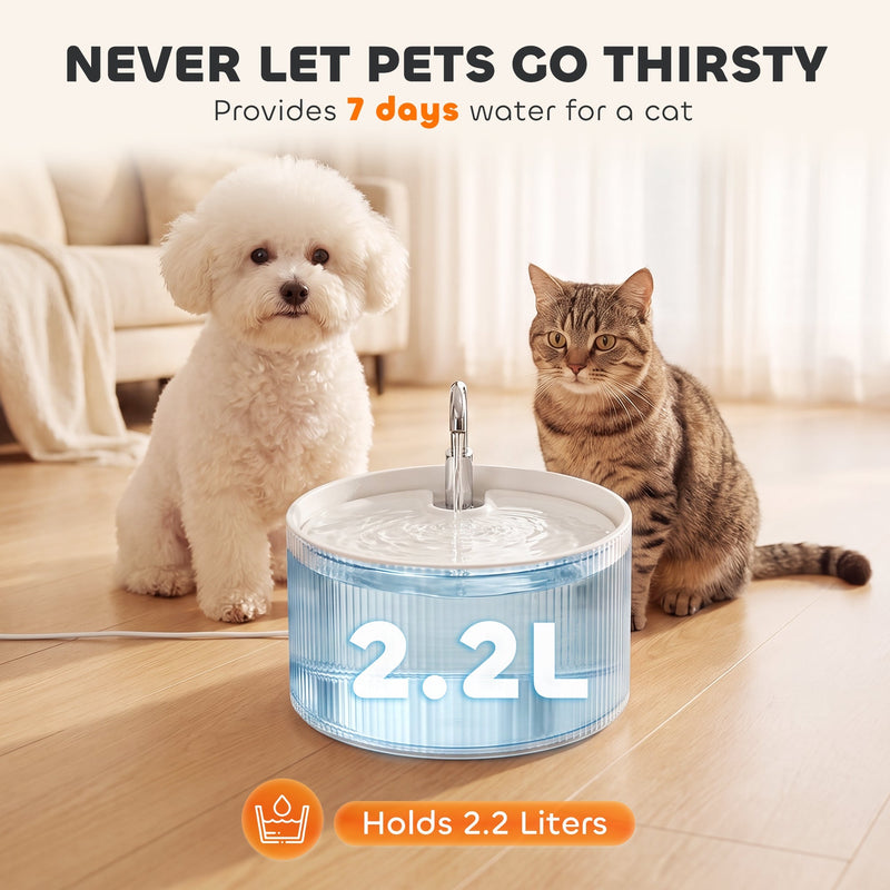 Dog and cat beside the fountain with its 2.2 litre water capacity highlighted