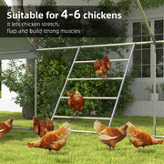 Chickens climbing the perch in a garden coop run, suitable for 4-6 chickens