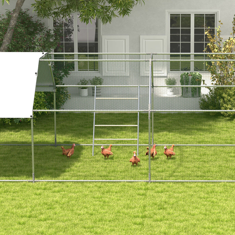 Chicken perch installed inside a garden coop run with chickens grazing nearby