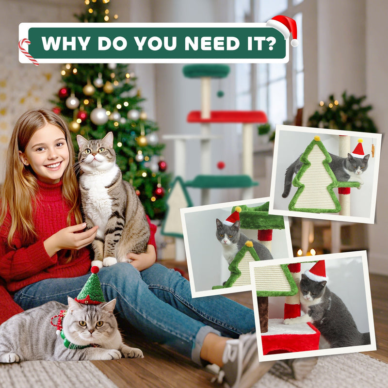 Girl with two cats and inset photos of cats using the scratching board and cat house