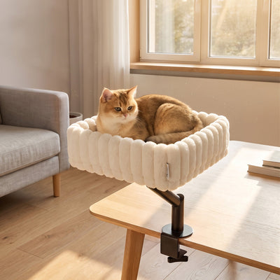 Cat resting in the PawHut clamp-on bed mounted to a coffee table edge