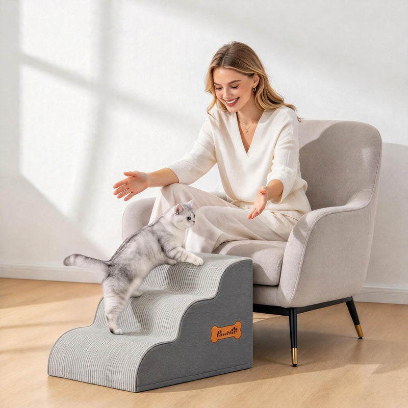 Cat on the curved stairs beside an armchair with a woman reaching out