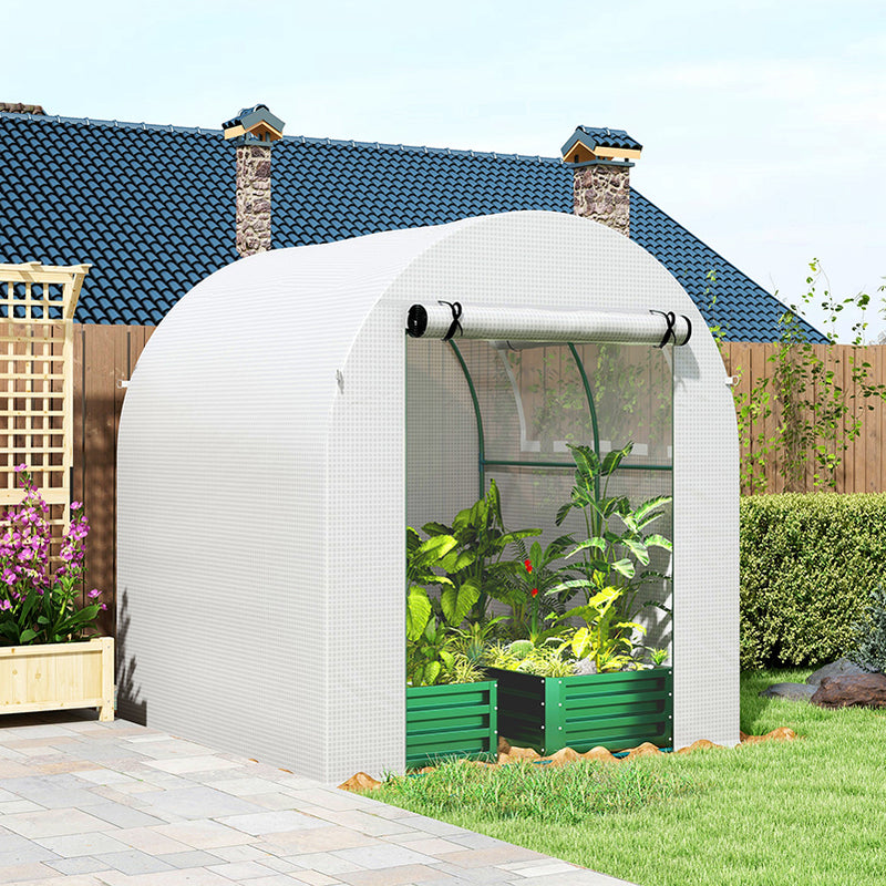 Walk In Polytunnel Greenhouse With Roll Up Door And Windows For Garden Growing White