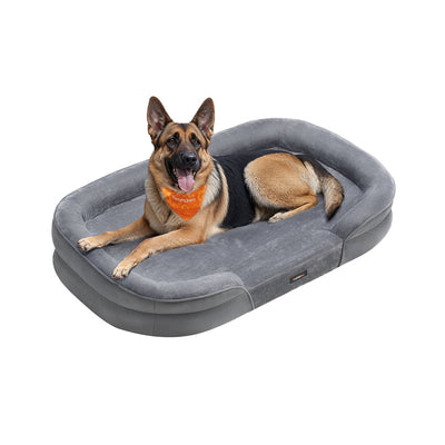 German Shepherd resting in the Feandrea light grey extra large orthopaedic dog sofa bed