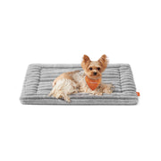Feandrea dove grey dog bed mat with a small dog lying on top on a white background