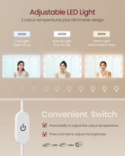 Panel showing cool, natural and warm light settings, dimming levels and the inline power switch