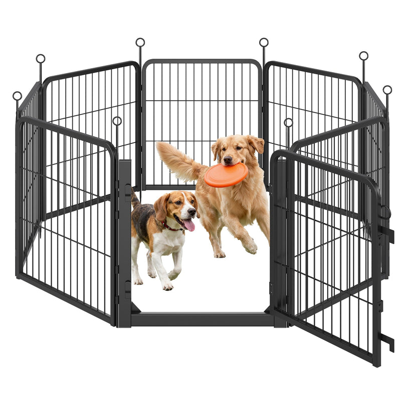 Two dogs playing with a frisbee beside the open gate of the black steel playpen