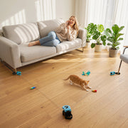 Automatic Cat Toy With Adjustable Track For Indoor Play And Furniture Protection Black Pawhut