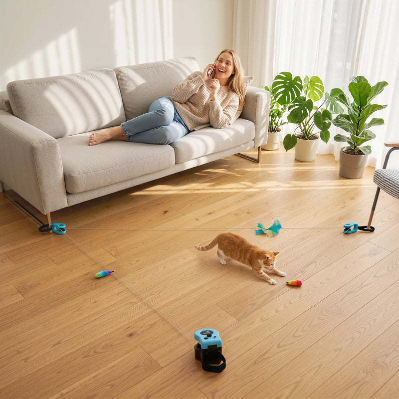 Automatic Cat Toy With Adjustable Track For Indoor Play And Furniture Protection Black Pawhut