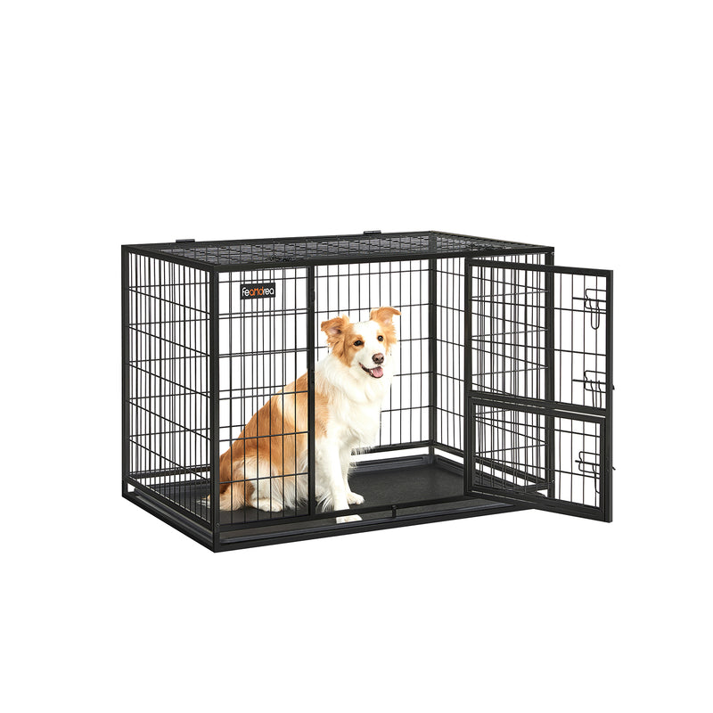 Dog sitting inside the Feandrea heavy-duty metal wire crate with door open