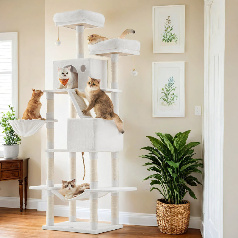 Cats climbing and resting on the white cat tree tower