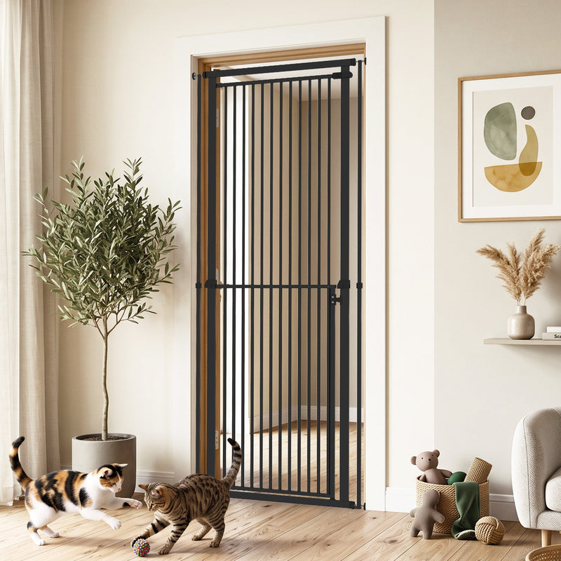 Black pet gate in a hallway doorway with two cats playing nearby