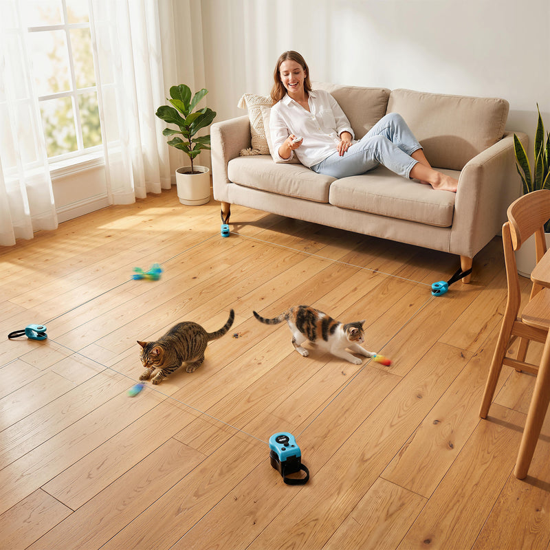 Automatic Cat Toy With Adjustable Track For Indoor Play And Furniture Protection Black Pawhut