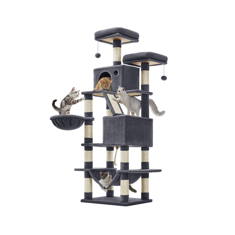 Feandrea 168cm smoky grey cat tree studio shot with three cats playing