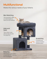 Multifunctional infographic showing bird watching, hide and seek and scratching areas