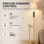 Gold floor lamp infographic showing 11 brightness levels, 11 colour temperatures and 800 lumens