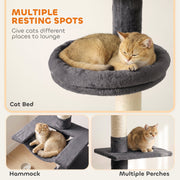 Cat curled in the cat bed with hammock and perch close-ups