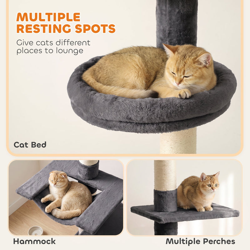 Cat curled in the cat bed with hammock and perch close-ups