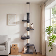 Cat tree beside a sofa with a cat on the top perch