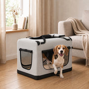 Beagle stepping out of the light grey pet carrier in a living room