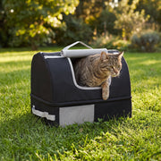 Tabby cat looking out of the black travel litter box on a lawn