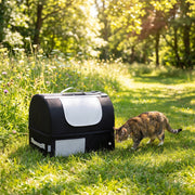 Black travel litter box on a grassy path with a tabby cat sniffing beside it