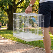 Man carrying the white folding bird cage by its top handle outdoors with budgies inside