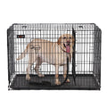 Black folding metal dog crate with a Labrador standing inside, shown on a white background