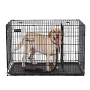 Black folding metal dog crate with a Labrador standing inside, shown on a white background