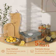 5 Tier Stainless Steel Food Dehydrator with Timer and LCD for Fruit and Jerky Grey
