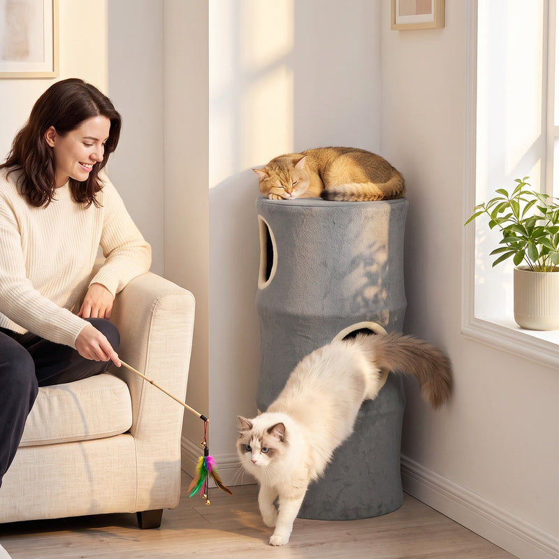 Two cats using the cat tower in a bright living room, one resting on top and one climbing out of the lower door