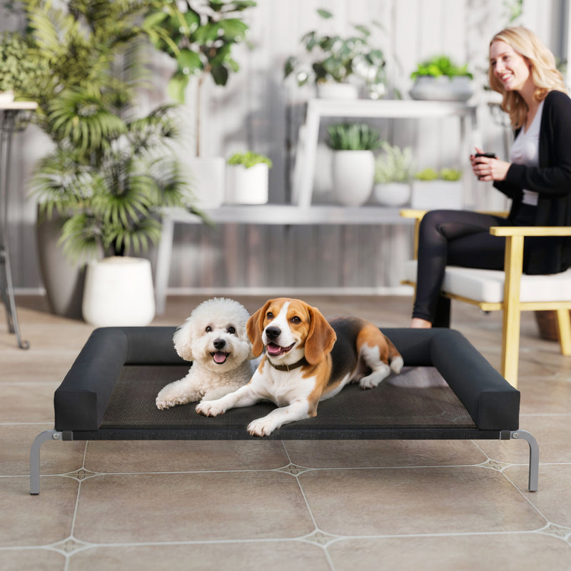 Raised Dog Bed with Mesh Surface and U-Shaped Pillow for Large Pets Indoor Outdoor Black