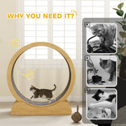 Wooden Cat Exercise Wheel with Brake for Indoor Fitness and Play, Natural
