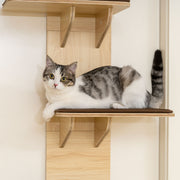 4 Level Door Mounted Cat Tree With Plush Mats And Toys For Indoor Climbing Grey