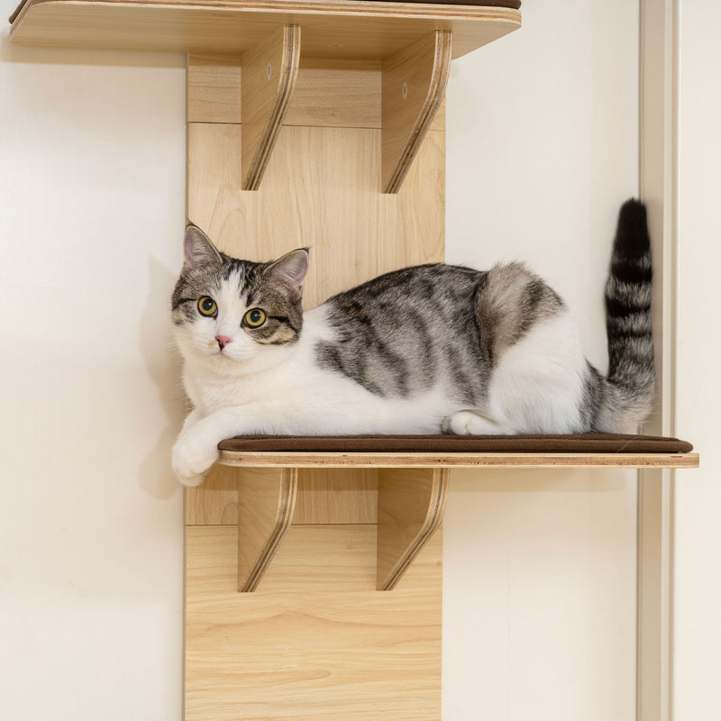 4 Level Door Mounted Cat Tree With Plush Mats And Toys For Indoor Climbing Grey