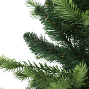 Close-up of green Geneva fir PE and PVC branch tips on a white background