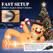 Fast setup panel showing the gingerbread man inflating in about 1 minute, with a plug-in note